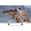 LED  LG 55LM670T